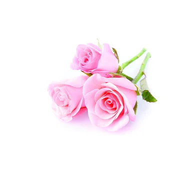 Foto Pozadí Růžové Květy Přizpůsobit Pozadí Fotografie Rekvizity pro Milovníky Valentýna Svatbu Narozeniny Photobooth